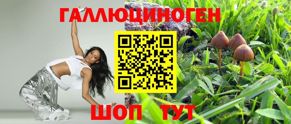 Псилоцибиновые грибы Magic Shrooms  хочу наркоту  Новочебоксарск  Вход с VPN  Псилоцибиновые грибы прущие грибы 