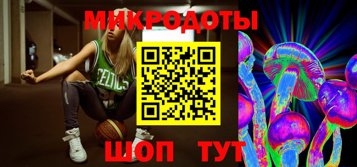 Псилоцибиновые грибы Cubensis Новочебоксарск